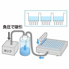 サンプル精製・濃縮・抽出作業