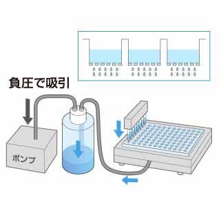 サンプル精製・濃縮・抽出作業